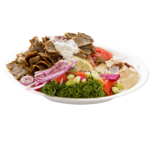 Gyro Plate