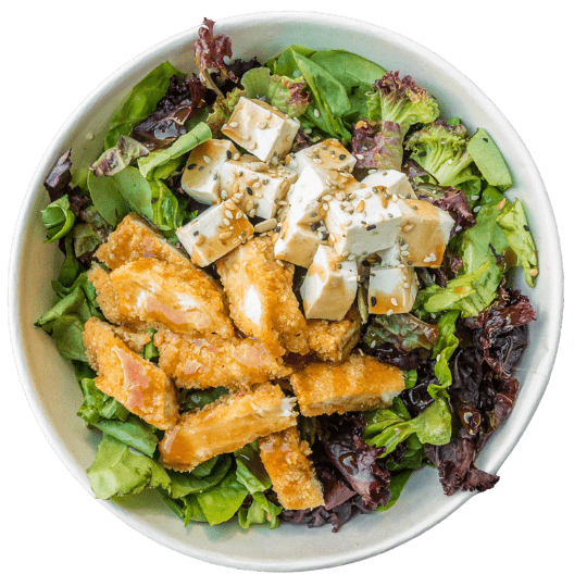 Crispy Chicken Salad