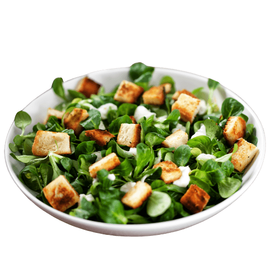 Grilled Chicken Salad