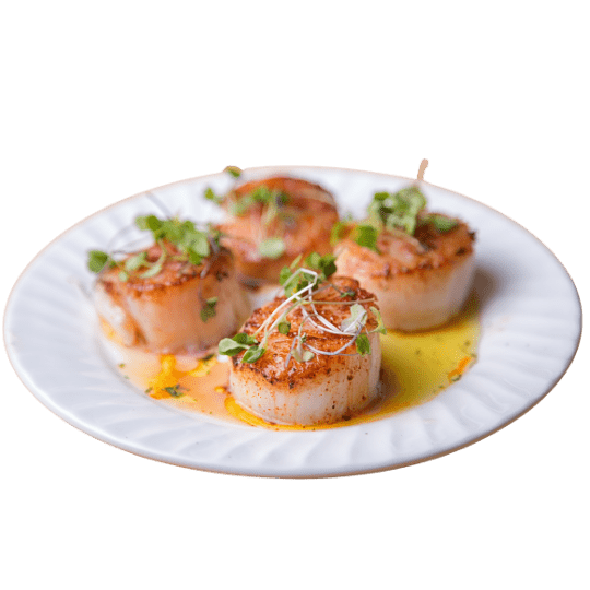 Scallops